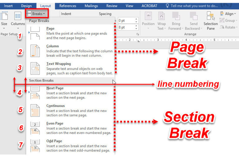 microsoft word page numbers section breaks